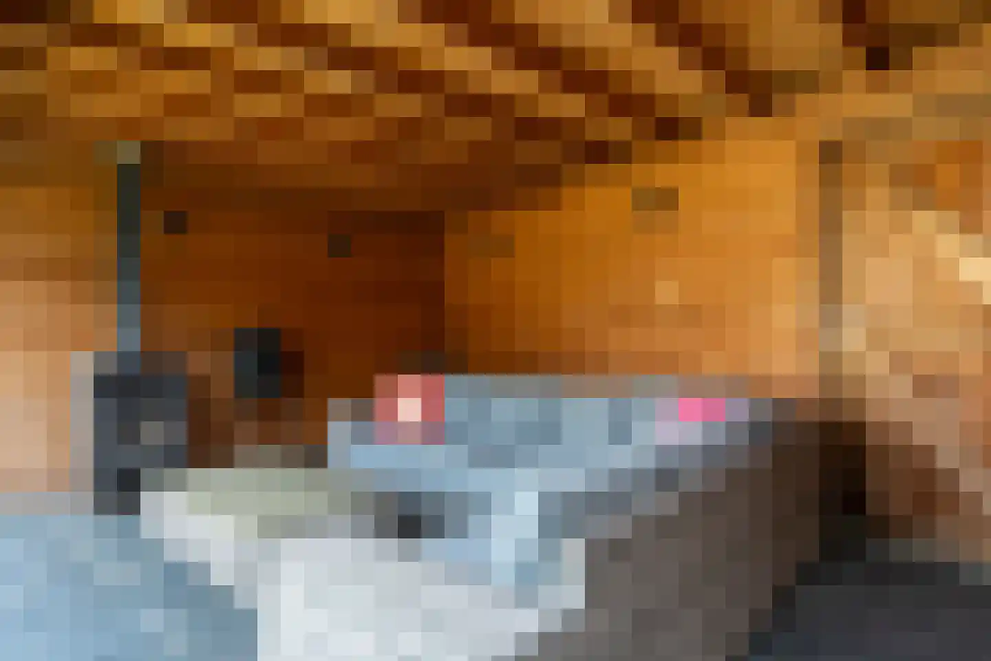 Acaciahage 8 Stadskanaal thumbnail 39