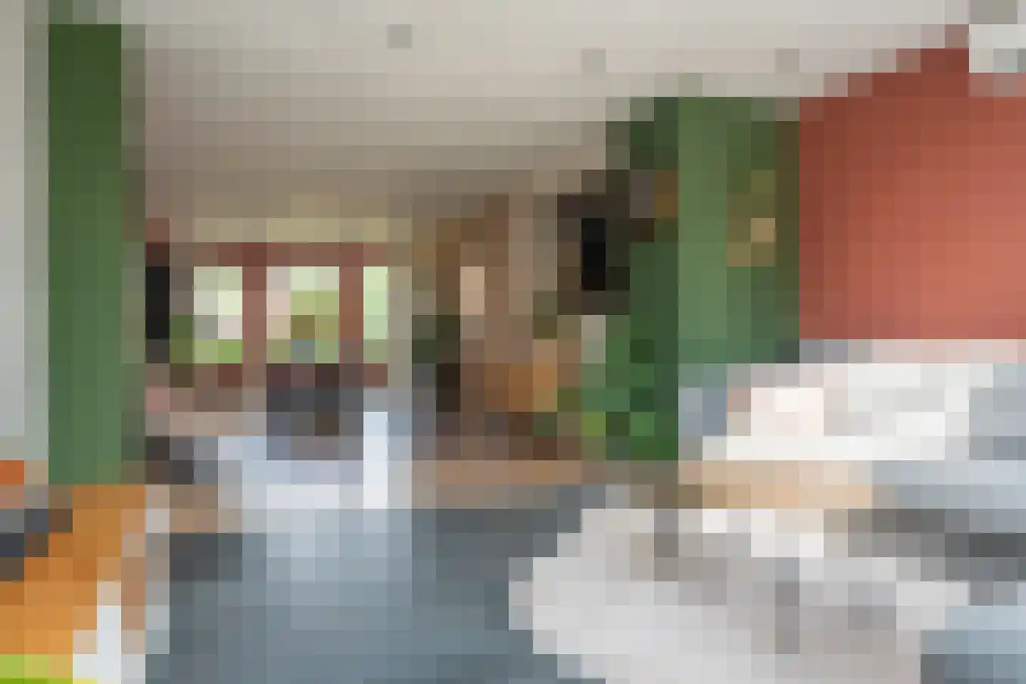 Acaciahage 8 Stadskanaal thumbnail 5