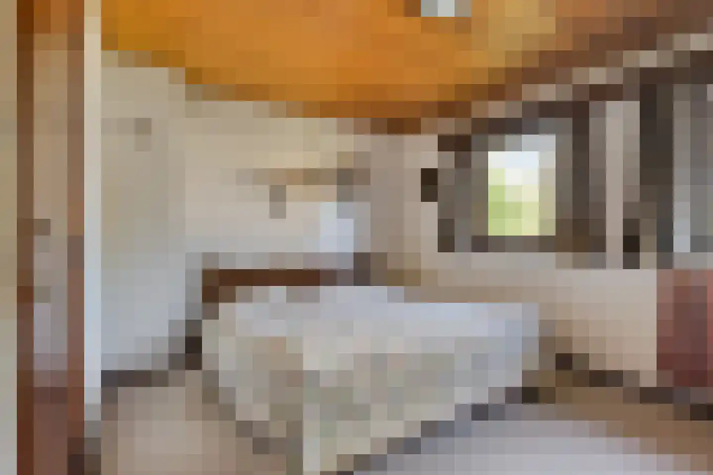 Acaciahof 9 Maasbree thumbnail 20