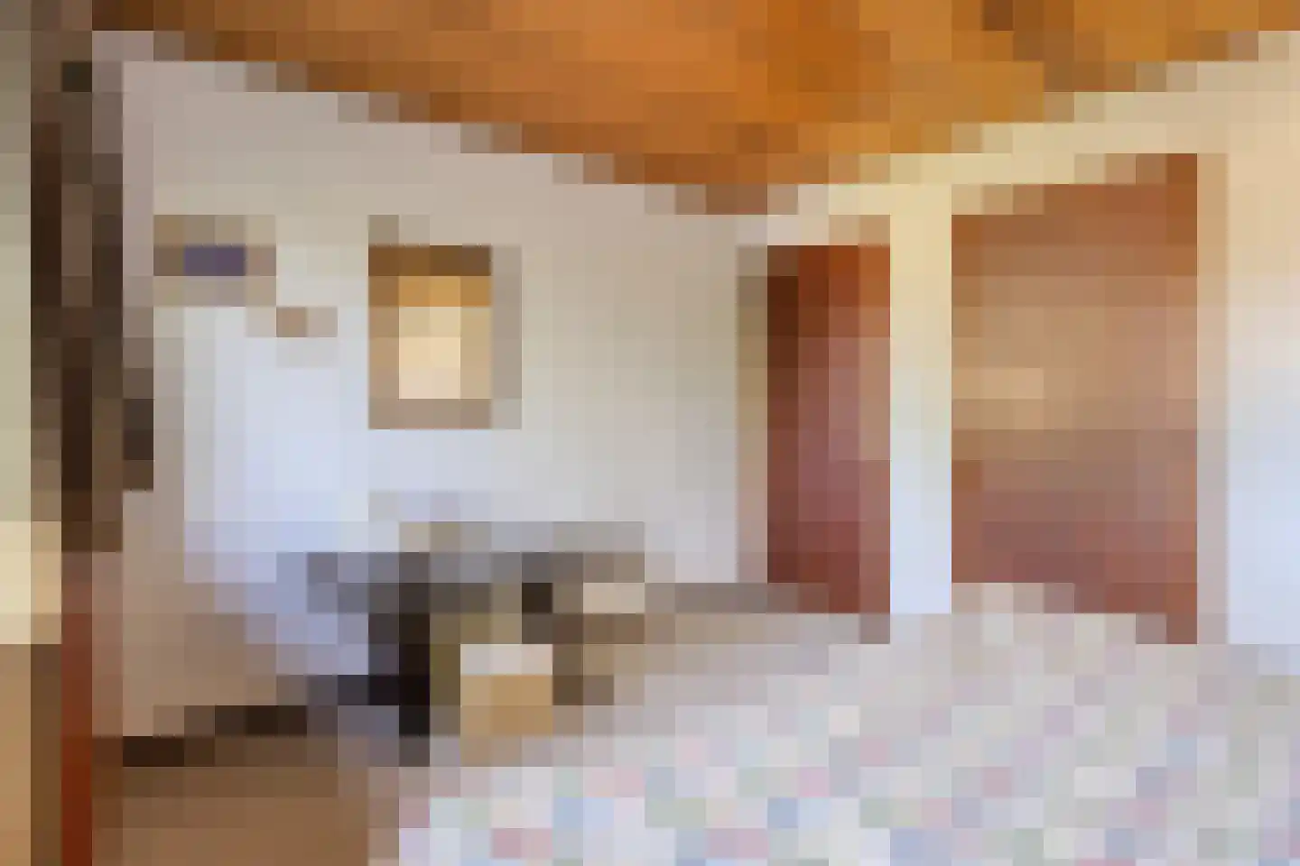 Acaciahof 9 Maasbree thumbnail 21