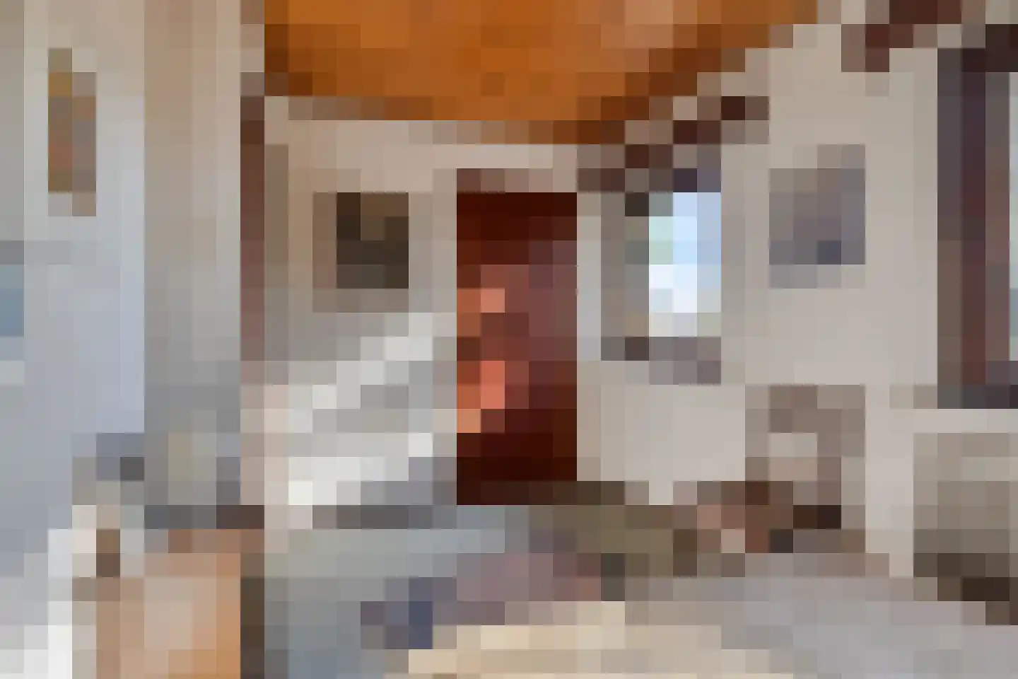 Acaciahof 9 Maasbree thumbnail 25
