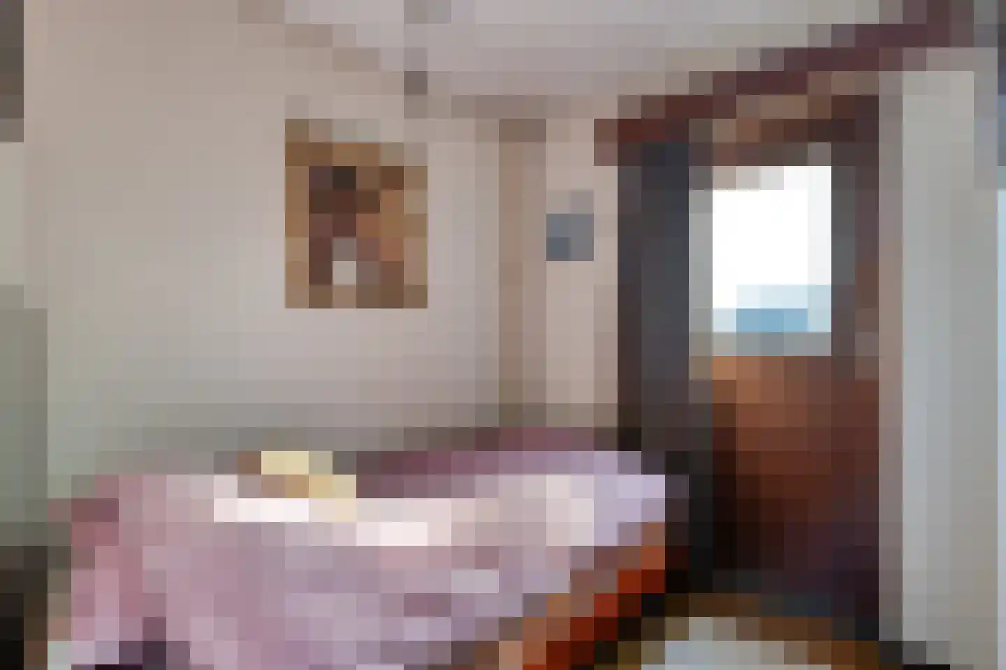 Acaciahof 9 Maasbree thumbnail 26