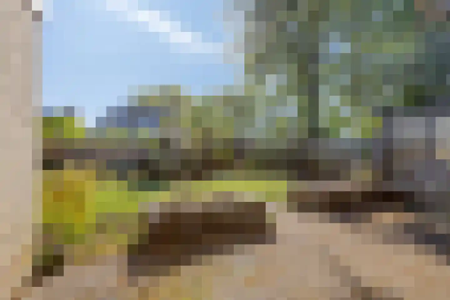 Acaciahof 9 Maasbree thumbnail 28
