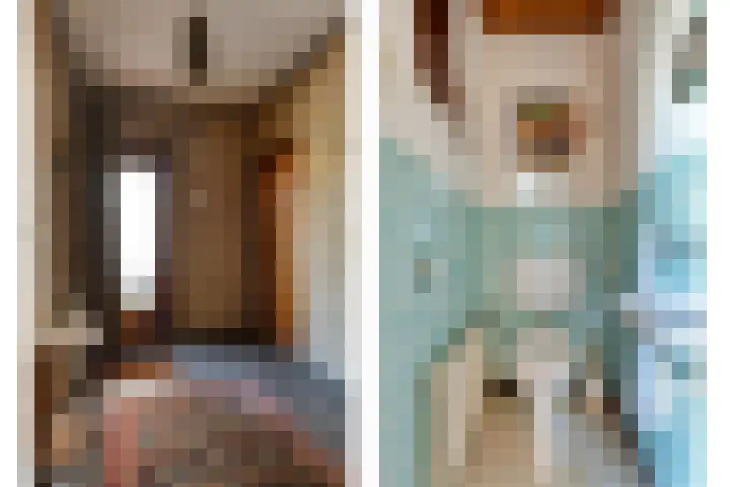 Acaciahof 9 Maasbree thumbnail 5