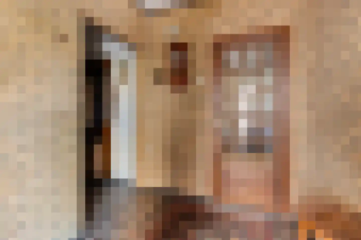 Acaciahof 9 Maasbree thumbnail 6