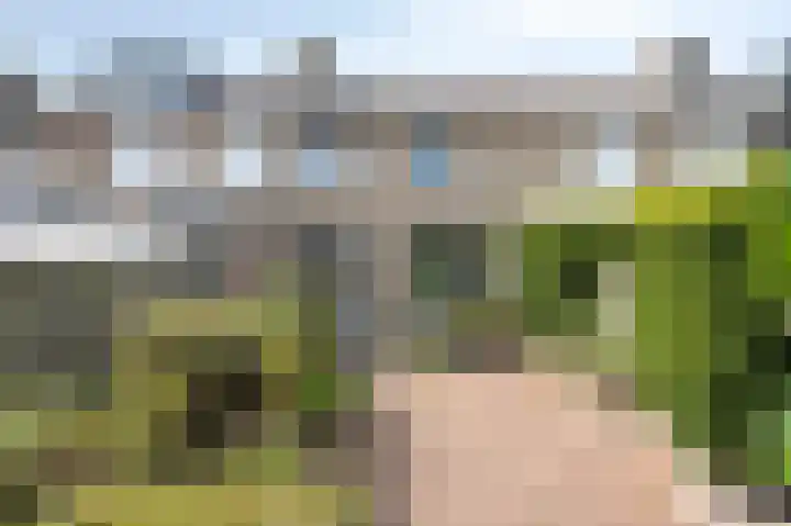 Acaciahoven 13 Maastricht thumbnail 19