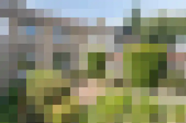 Acaciahoven 13 Maastricht thumbnail 20