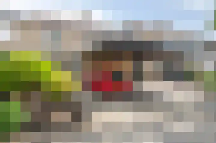 Acaciahoven 13 Maastricht thumbnail 4