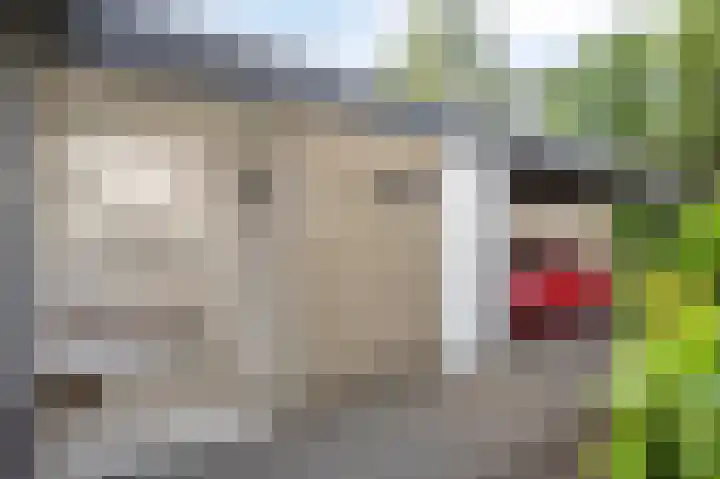 Acaciahoven 13 Maastricht thumbnail 5