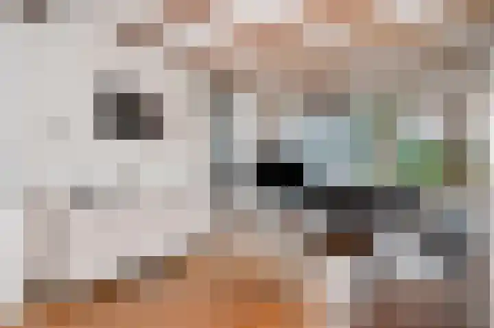 Acaciahoven 13 Maastricht thumbnail 9