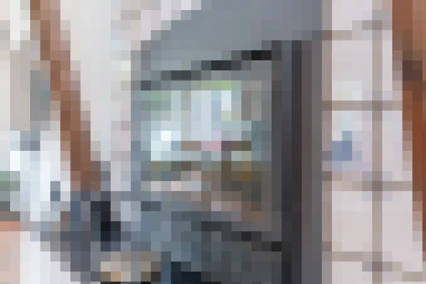 Acacialaan 1 a Goirle thumbnail 11