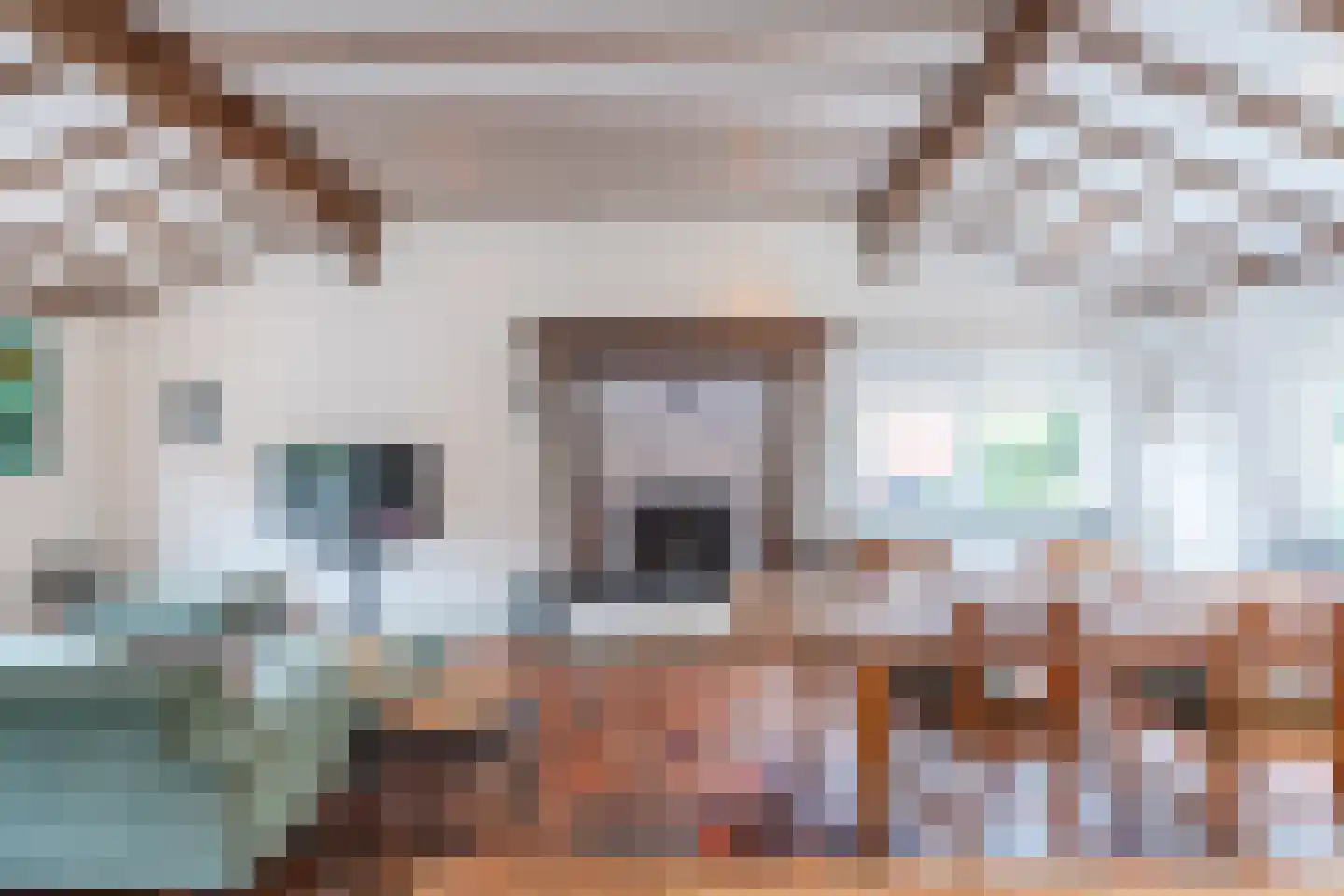 Acacialaan 1 a Goirle thumbnail 12