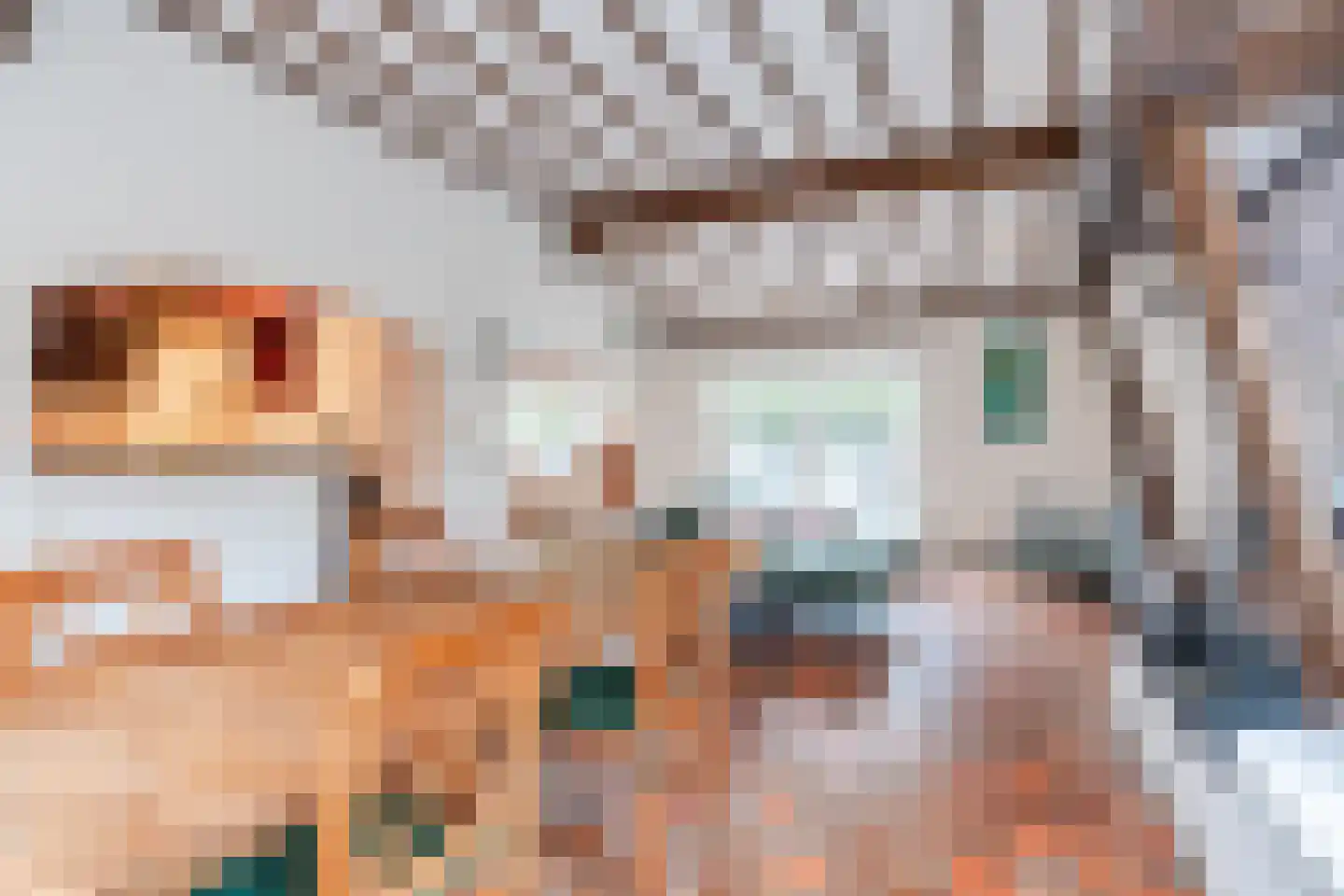 Acacialaan 1 a Goirle thumbnail 14