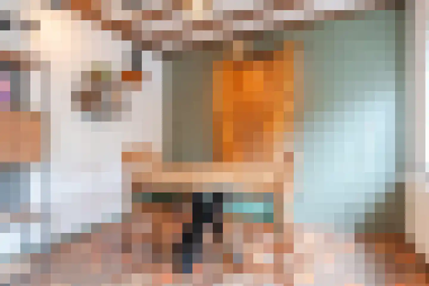 Acacialaan 1 a Goirle thumbnail 17