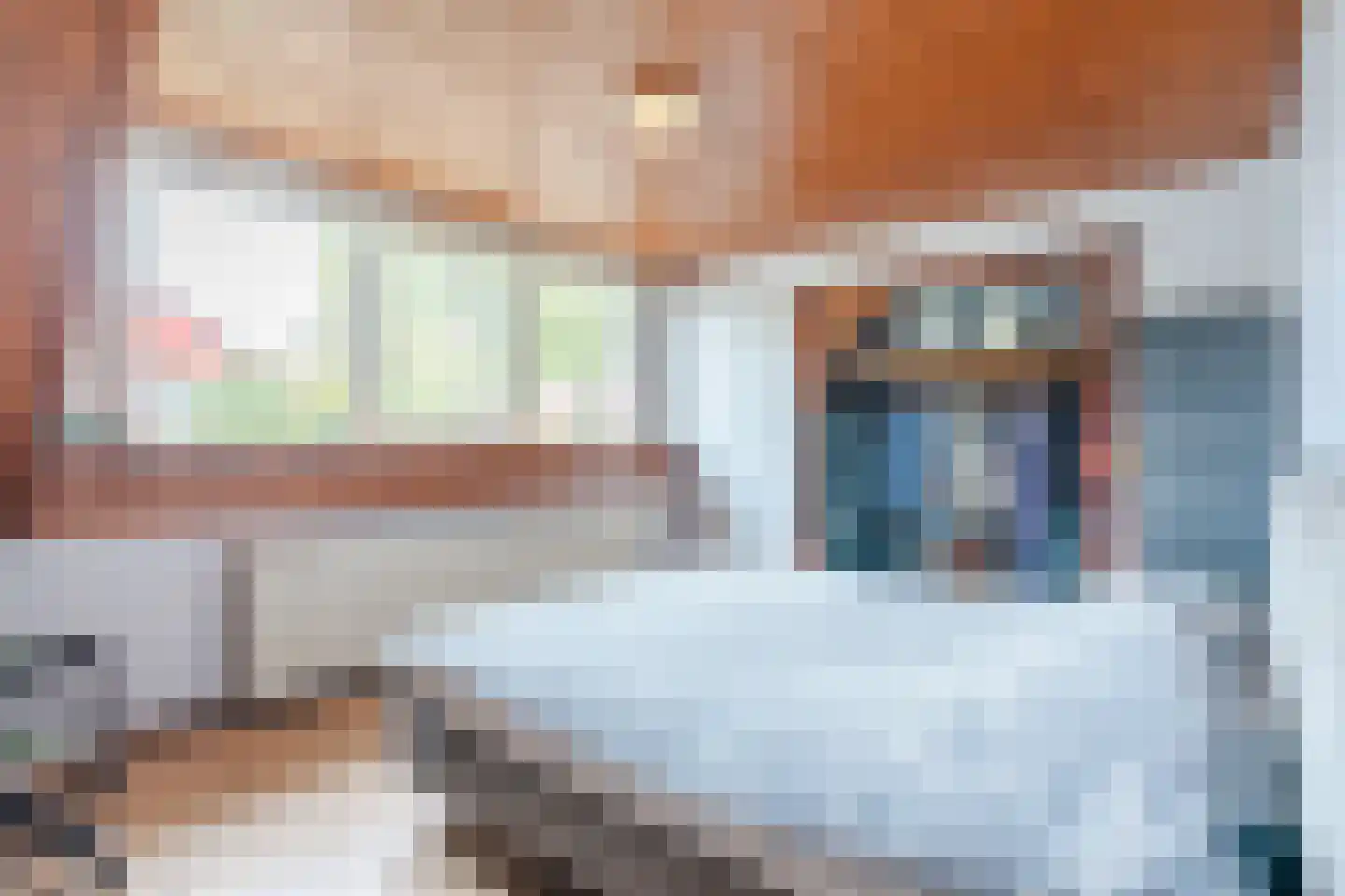 Acacialaan 1 a Goirle thumbnail 27
