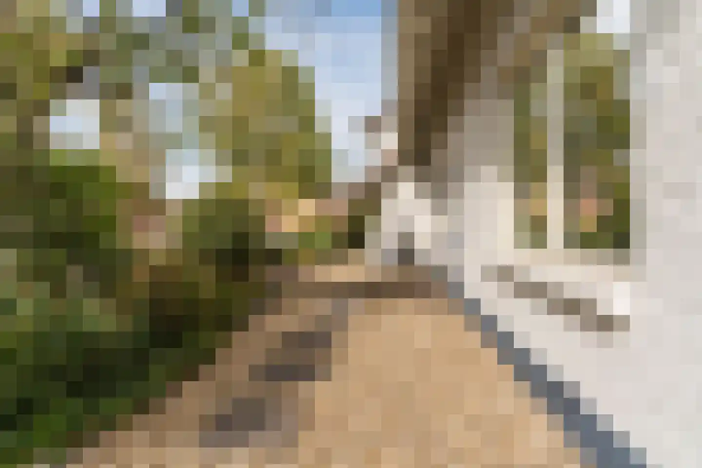 Acacialaan 1 a Goirle thumbnail 51