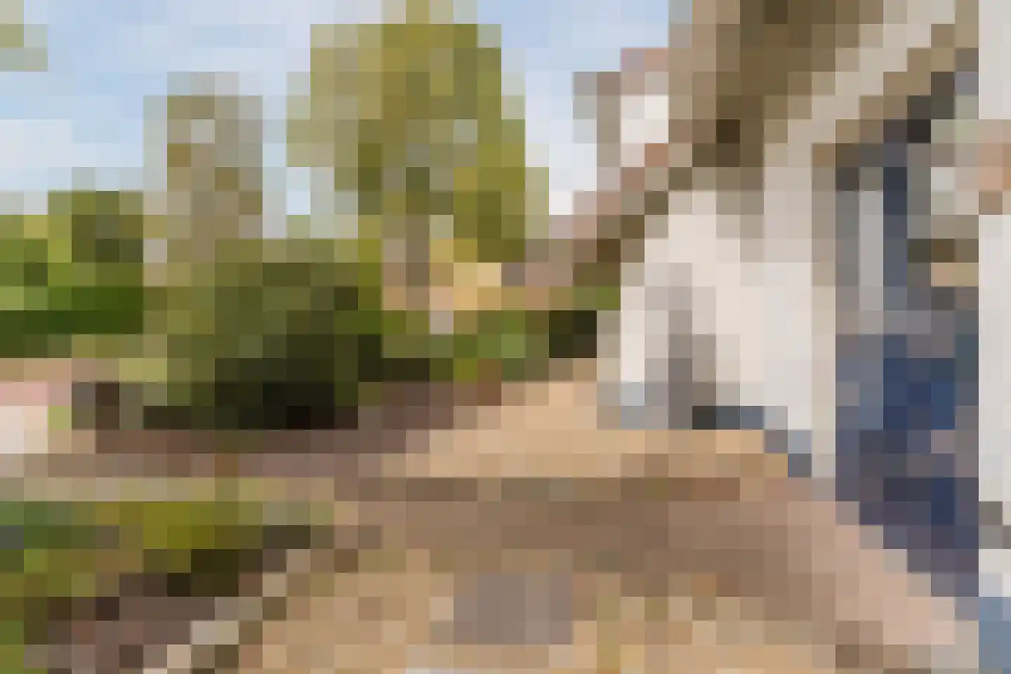 Acacialaan 1 a Goirle thumbnail 52
