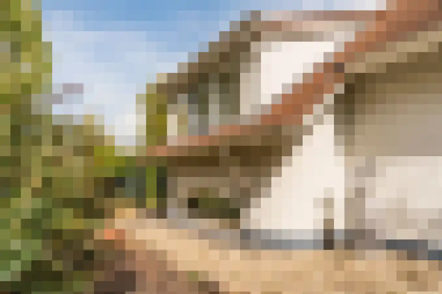 Acacialaan 1 a Goirle thumbnail 53