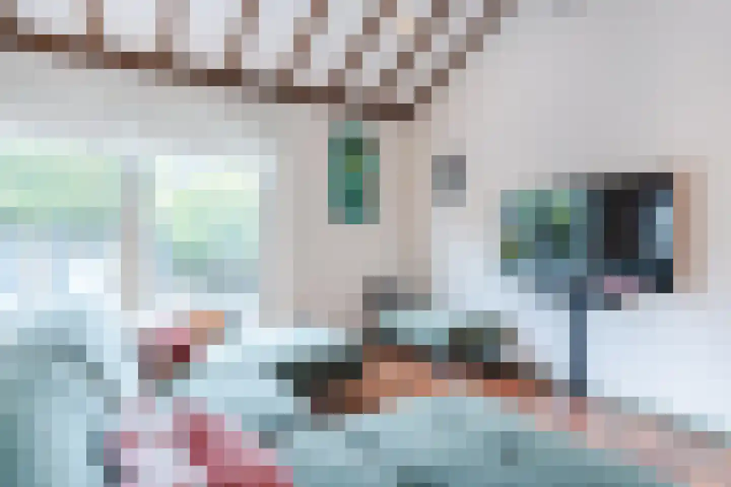 Acacialaan 1 a Goirle thumbnail 9