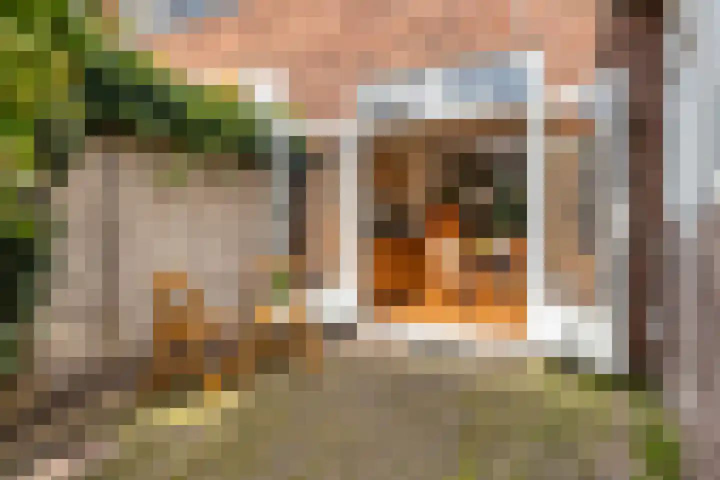 Acacialaan 1 Beverwijk thumbnail 29