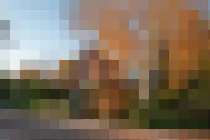 Acacialaan 1 Bloemendaal thumbnail 4