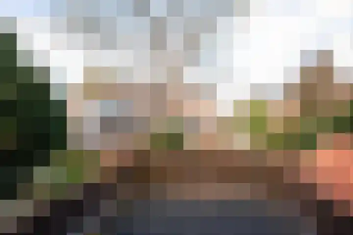 Acacialaan 1 Bloemendaal thumbnail 40