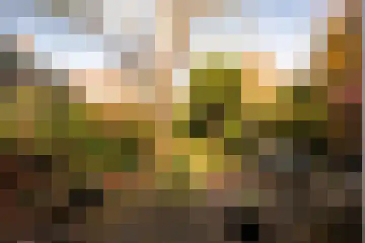 Acacialaan 1 Bloemendaal thumbnail 49