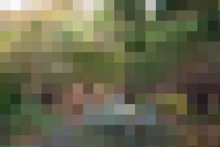 Acacialaan 1 Bloemendaal thumbnail 54