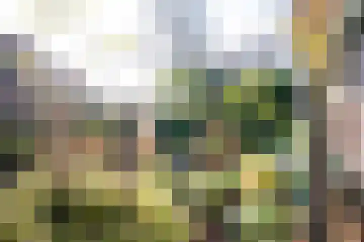 Acacialaan 1 Bloemendaal thumbnail 6