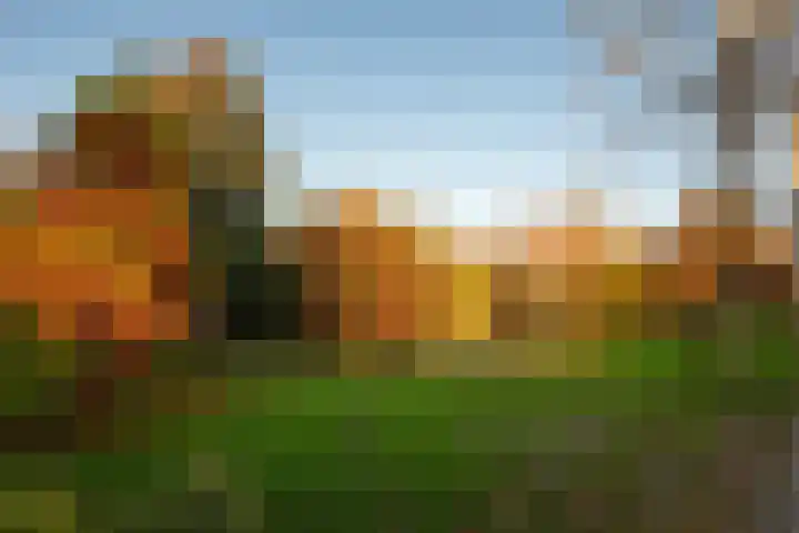 Acacialaan 1 Bloemendaal thumbnail 60