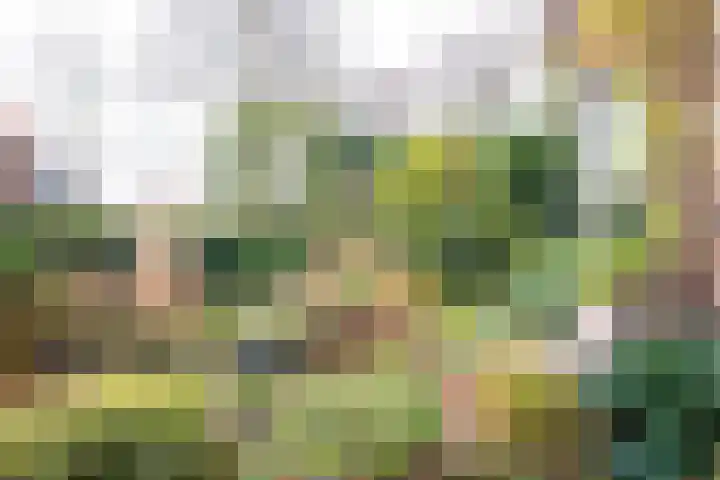 Acacialaan 1 Bloemendaal thumbnail 7