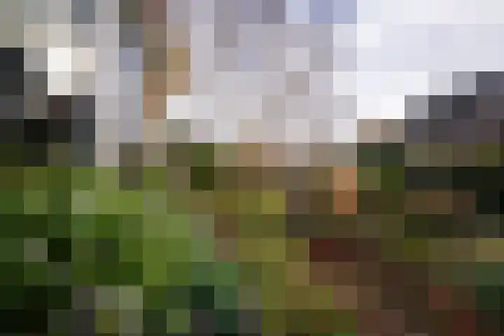 Acacialaan 1 Bloemendaal thumbnail 8