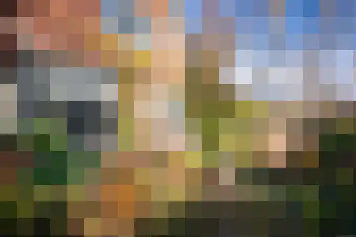 Acacialaan 1 Bloemendaal thumbnail 9