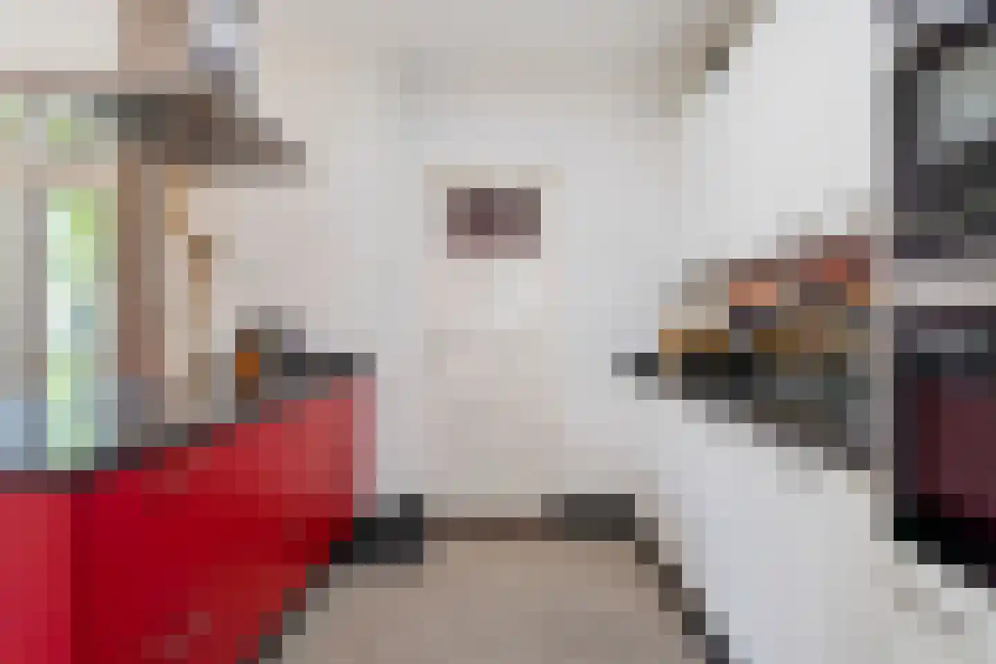 Acacialaan 1 Leiderdorp thumbnail 22