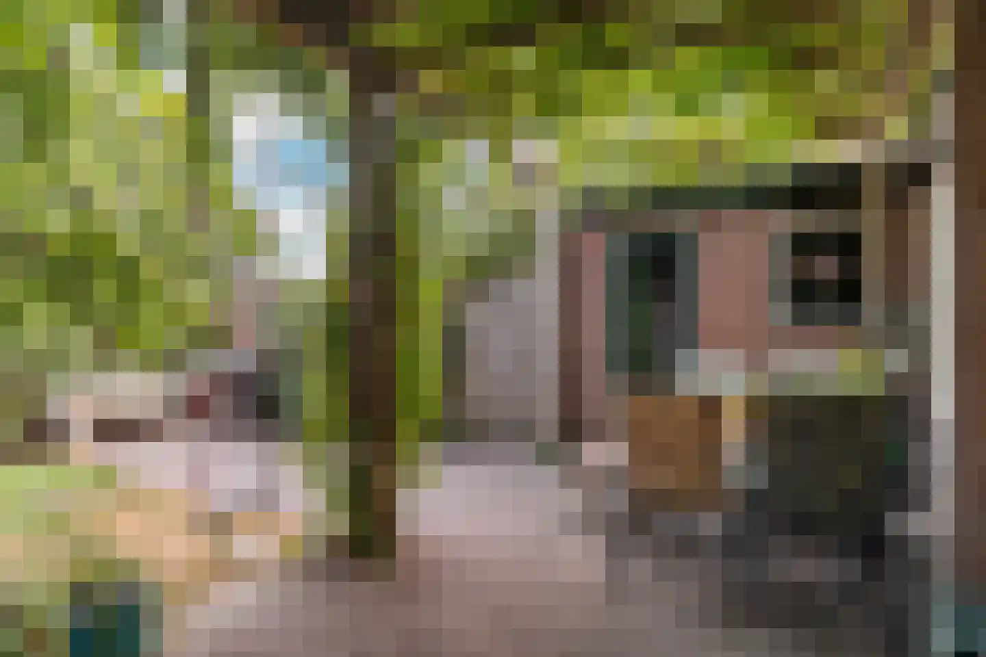 Acacialaan 1 Leiderdorp thumbnail 26