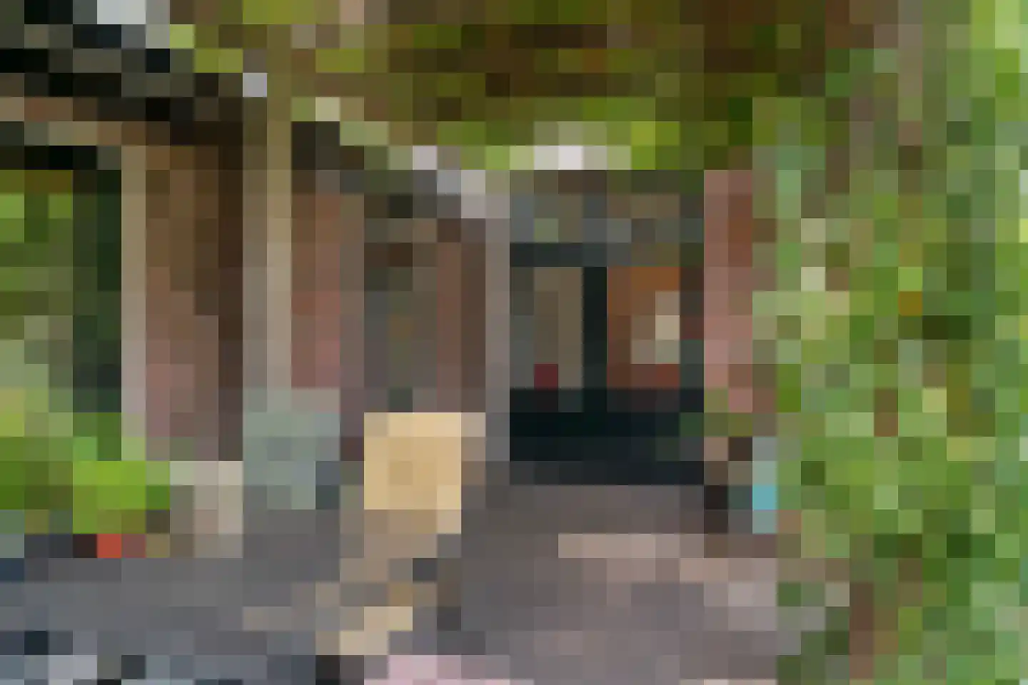 Acacialaan 1 Leiderdorp thumbnail 27