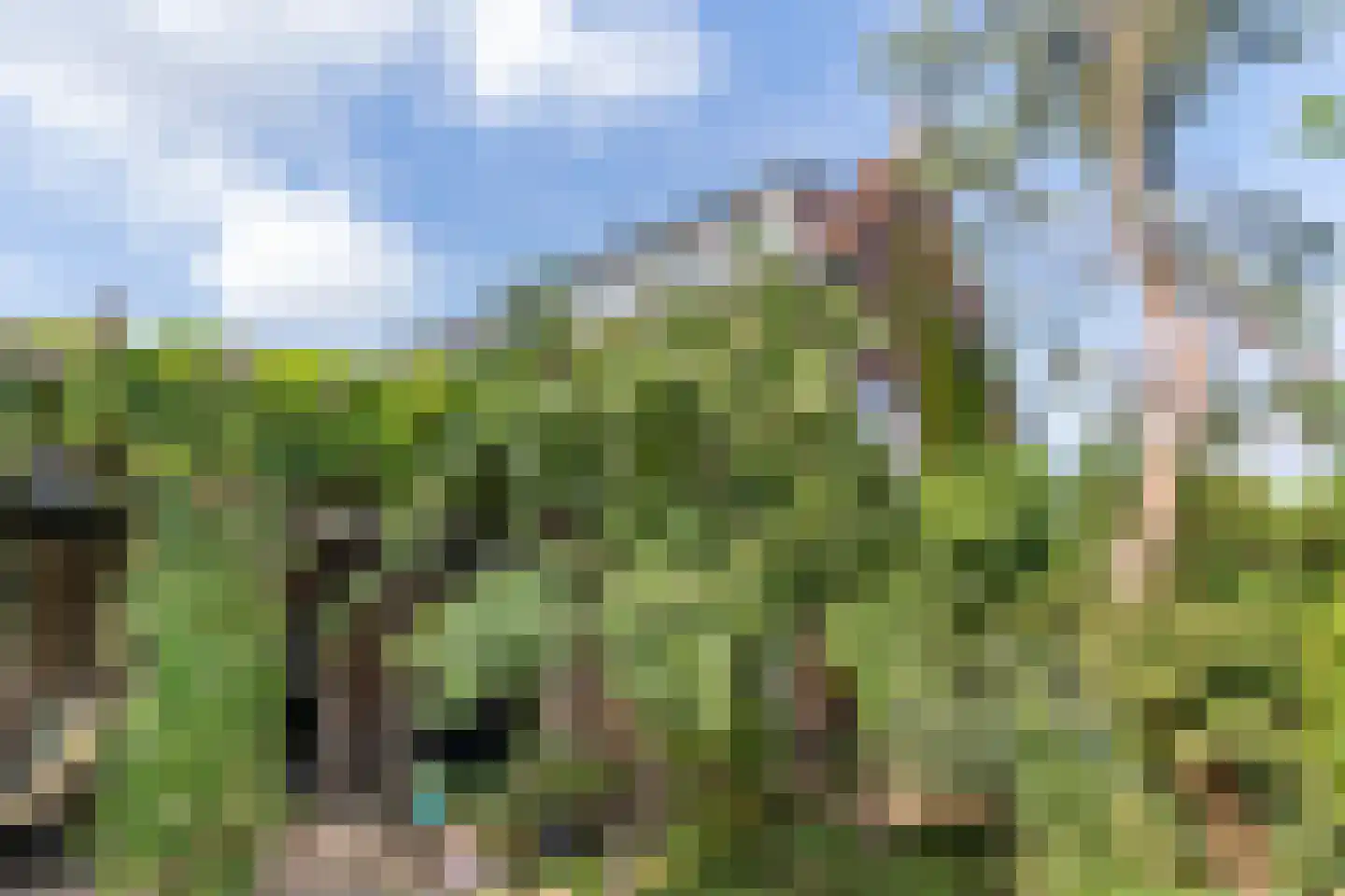 Acacialaan 1 Leiderdorp thumbnail 28