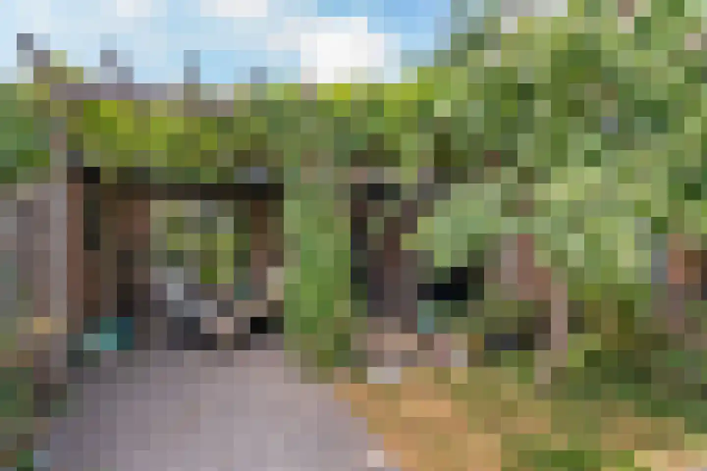 Acacialaan 1 Leiderdorp thumbnail 4