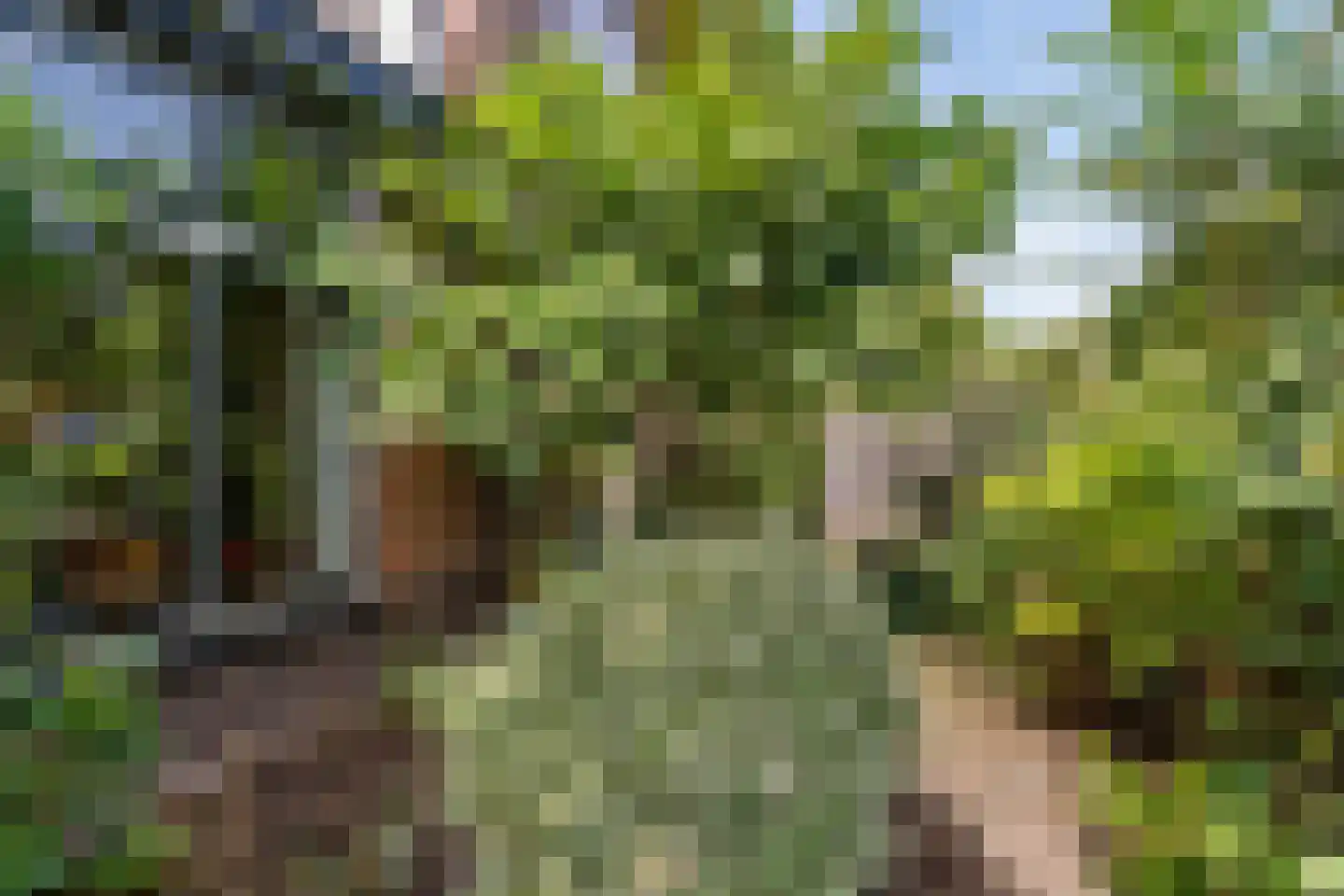 Acacialaan 1 Leiderdorp thumbnail 46