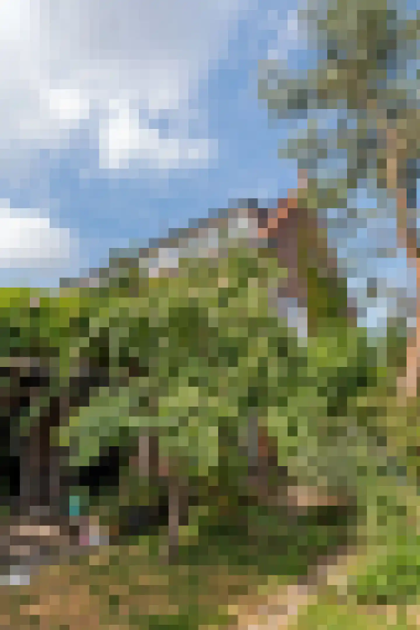 Acacialaan 1 Leiderdorp thumbnail 48