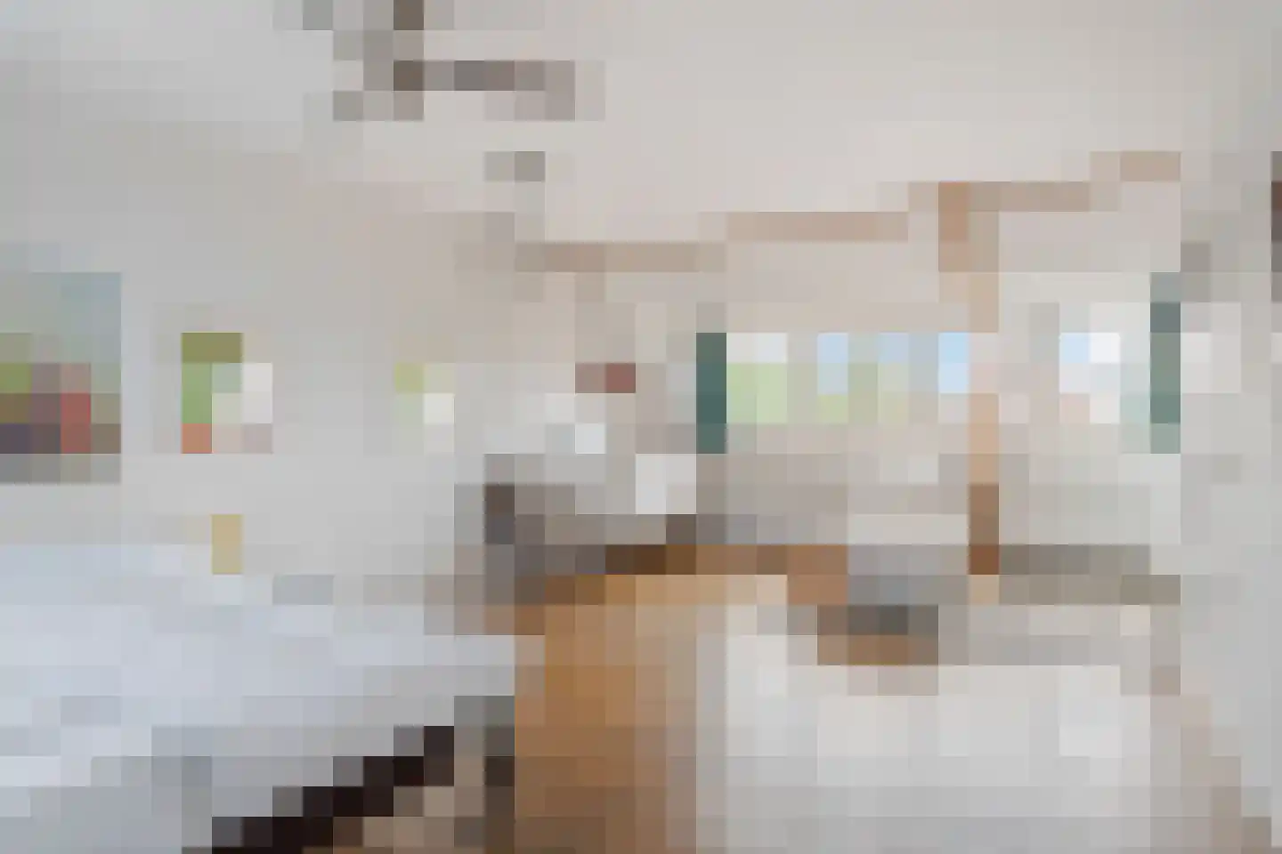 Acacialaan 1 Leiderdorp thumbnail 8