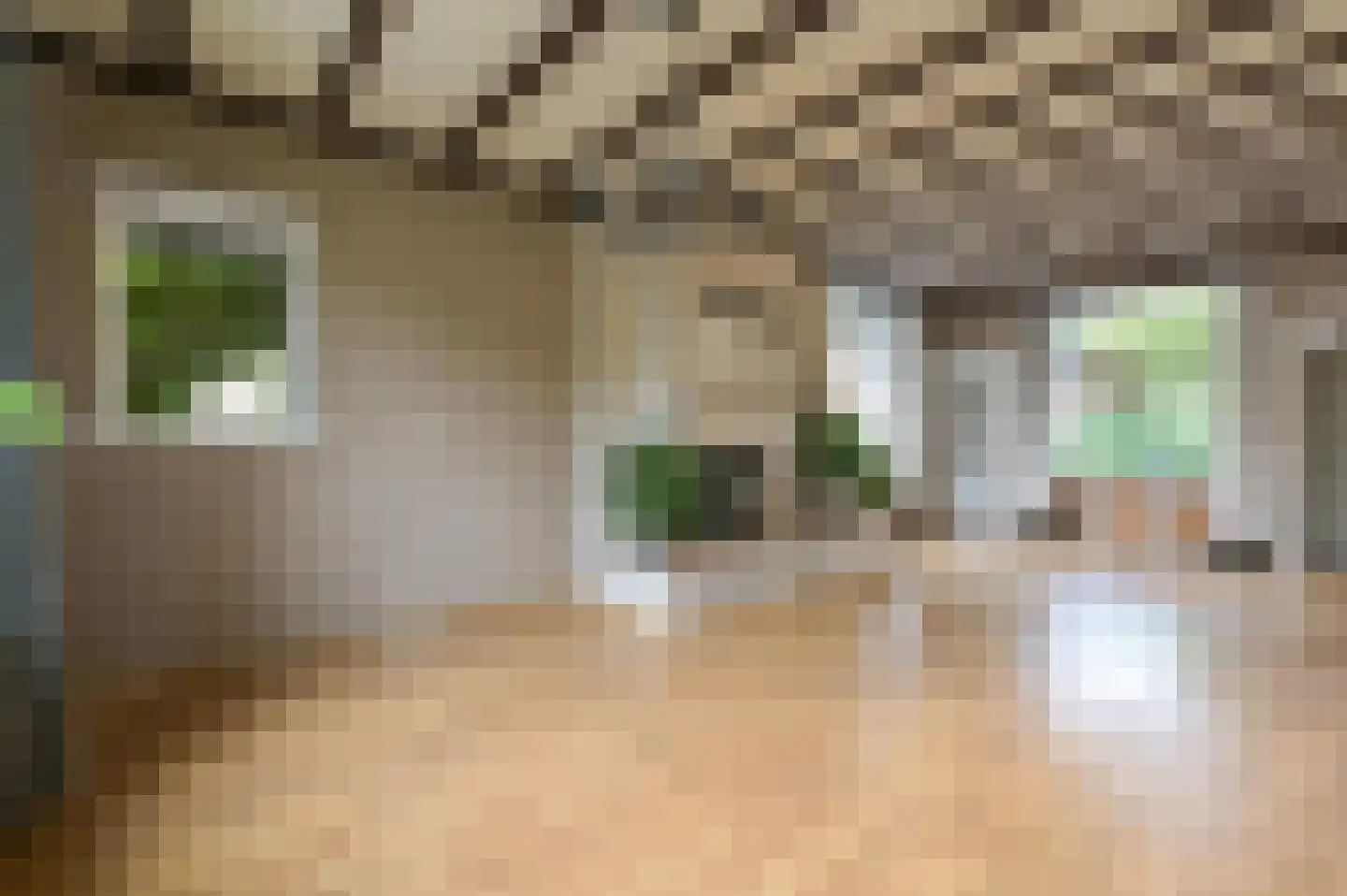 Acacialaan 1 Putten thumbnail 14