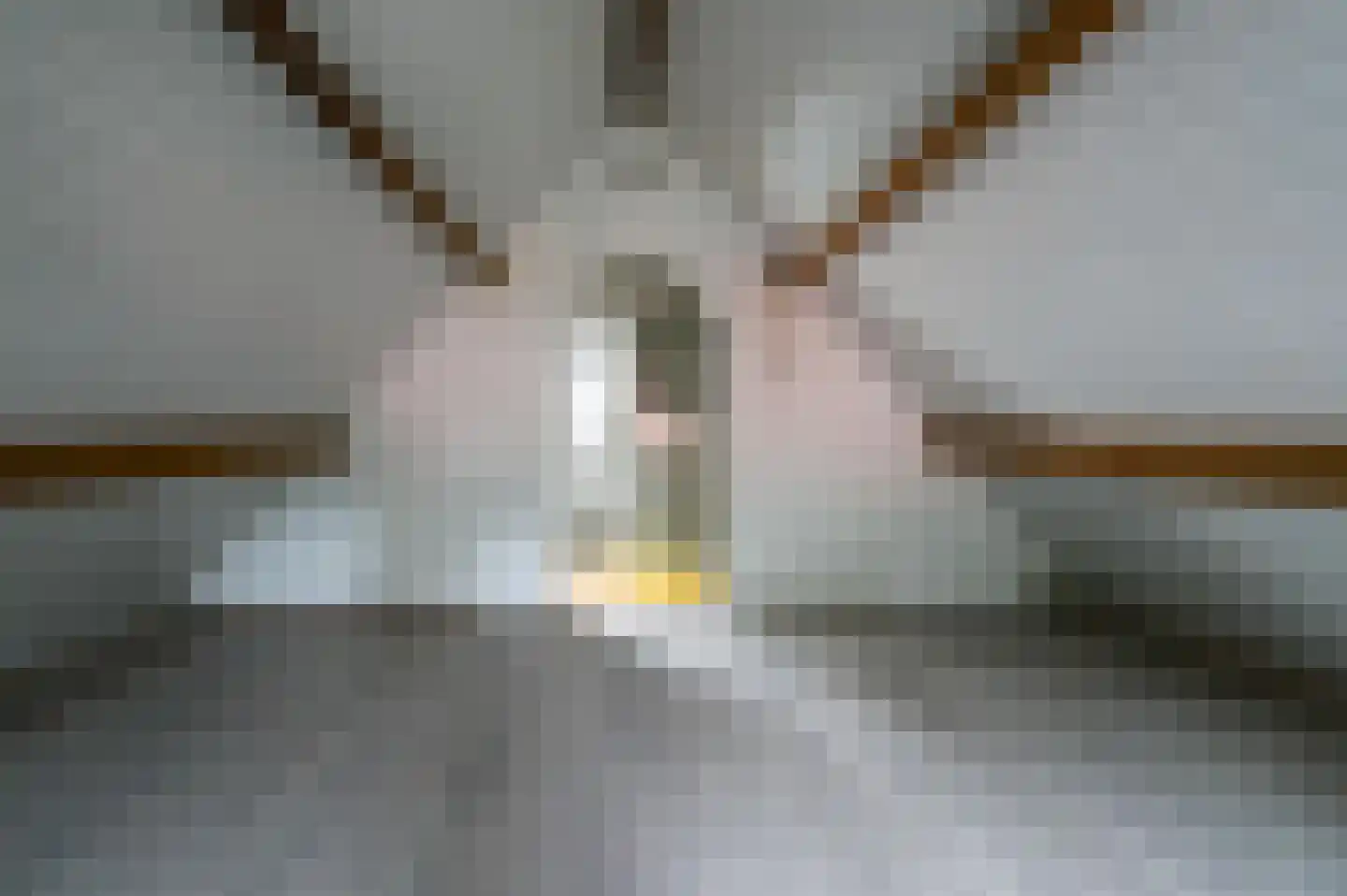 Acacialaan 1 Putten thumbnail 27