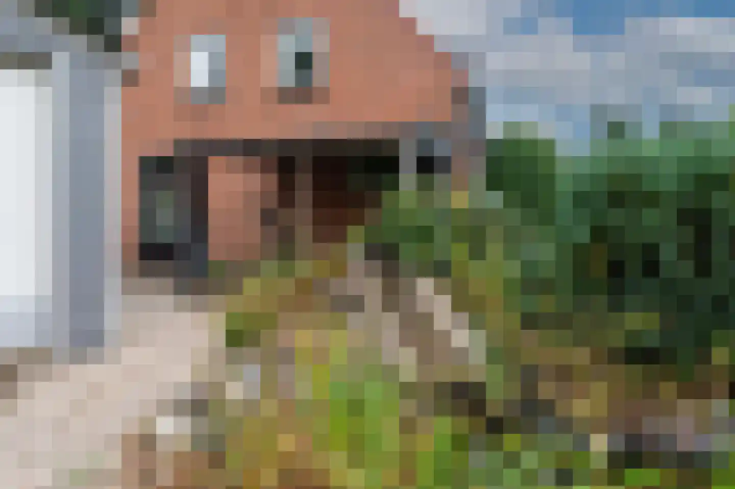 Acacialaan 1 Putten thumbnail 32