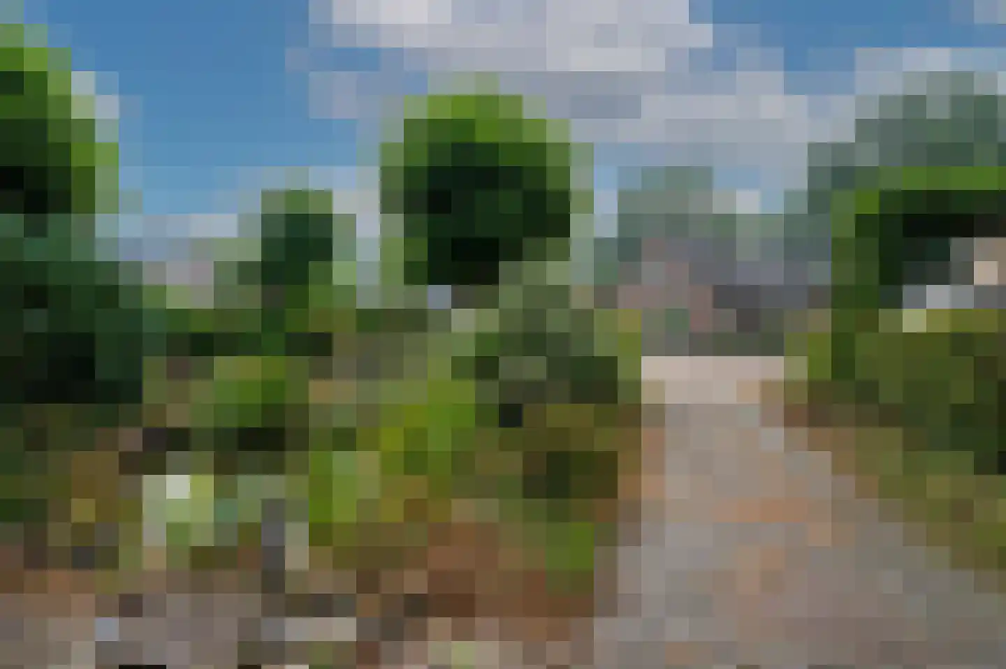 Acacialaan 1 Putten thumbnail 7
