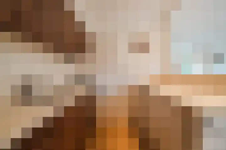 Acacialaan 1 Sint Pancras thumbnail 19
