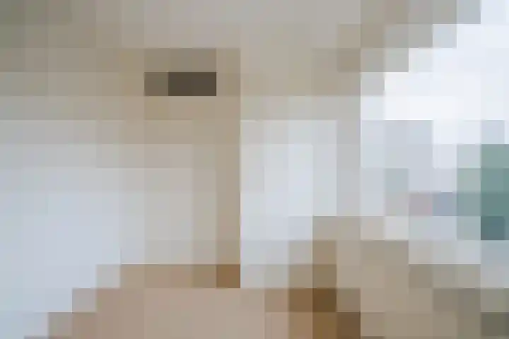 Acacialaan 1 Sint Pancras thumbnail 31