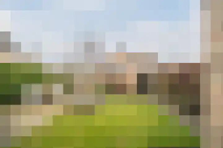 Acacialaan 1 Sint Pancras thumbnail 35