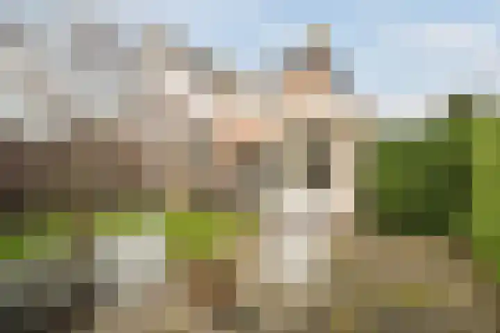 Acacialaan 1 Sint Pancras thumbnail 36