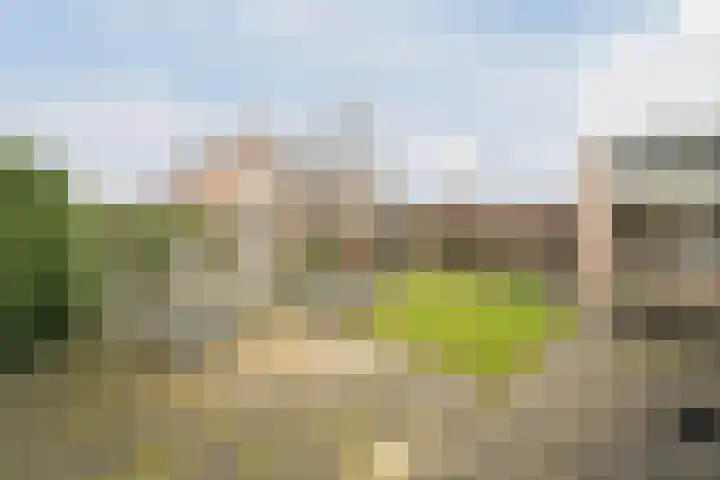 Acacialaan 1 Sint Pancras thumbnail 37